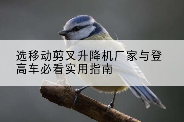 廉江电动升降机厂家-选移动剪叉升降机厂家与登高车必看实用指南