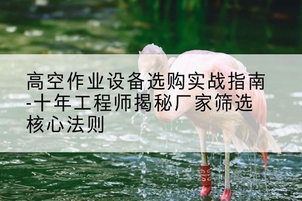 廉江剪叉式升降机厂家-高空作业设备选购实战指南-十年工程师揭秘厂家筛选核心法则