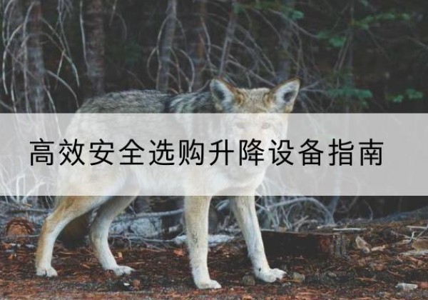 廉江升降货梯厂家推荐-*安全选购升降设备指南