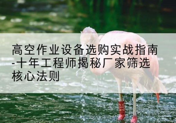 廉江剪叉式升降机厂家-高空作业设备选购实战指南-十年工程师揭秘厂家筛选核心法则