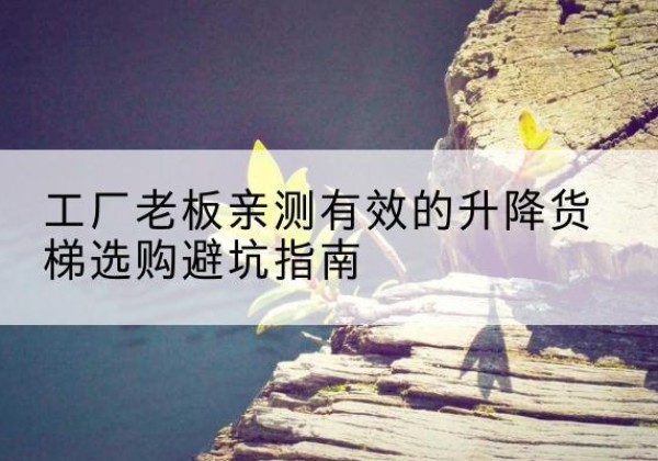 廉江升降货梯怎么选-工厂老板亲测有效的升降货梯选购避坑指南